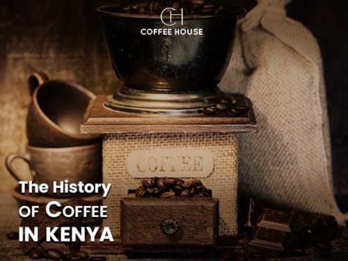 The History of Coffee: A Journey Through Time