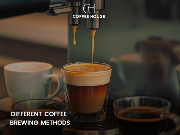 different coffee brewing methods