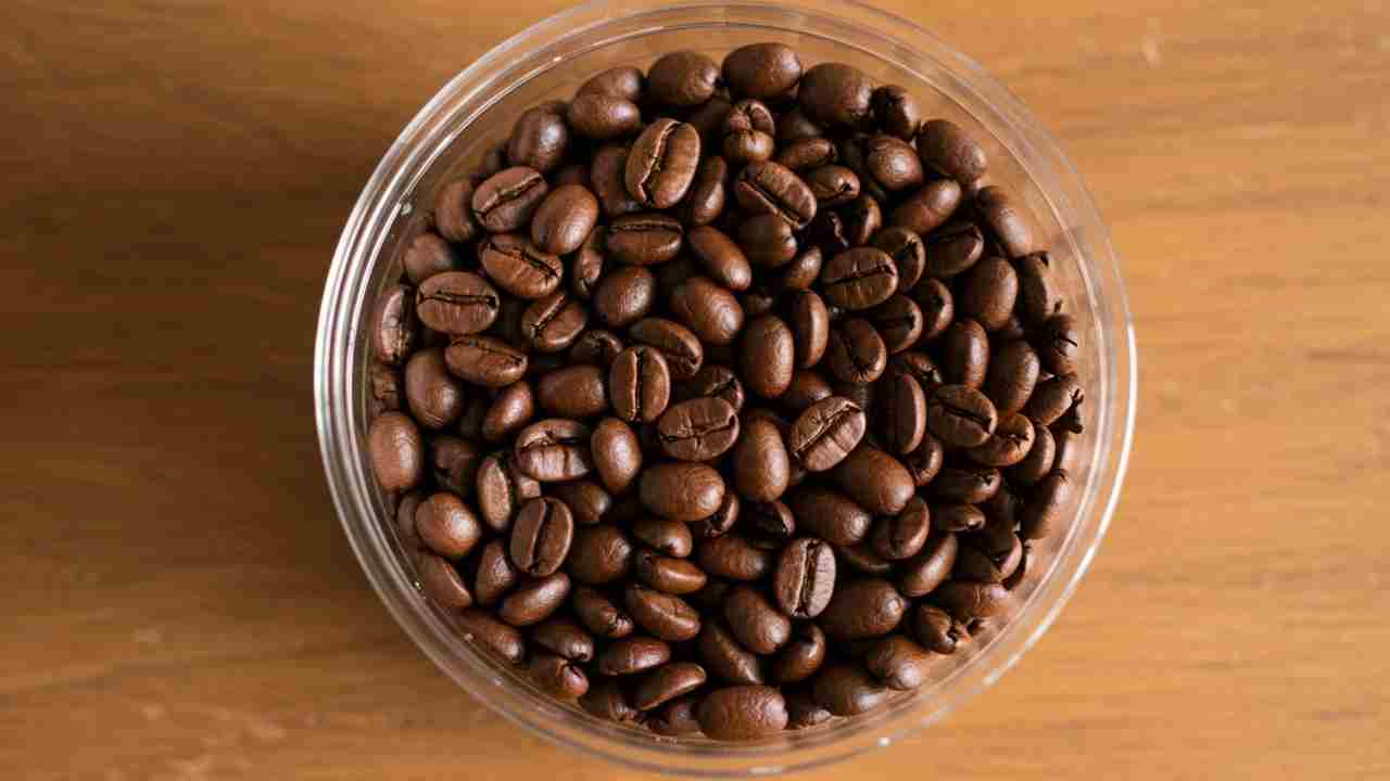 Kenyan Coffee Beans: A Deep Dive into Kenya's Coffee Heritage
