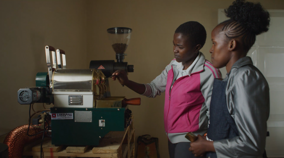 Coffee Culture Kenya