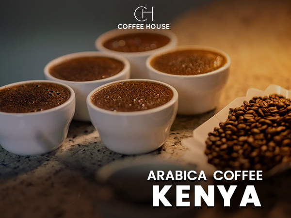 arabica coffee kenya